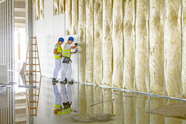 Best Energy Efficiency Insulation in North Tonawanda, NY